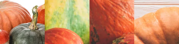 Collage of ripe orange natural fresh pumpkin — Stock Photo