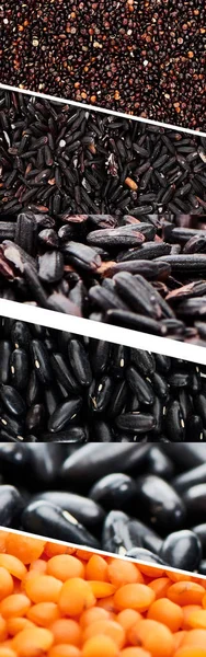 Collage di lenticchie e fagioli neri isolati su bianco — Foto stock