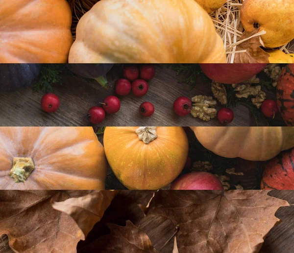 Collage of ripe pumpkins and dry autumnal leaves, Thanksgiving decoration — Stock Photo