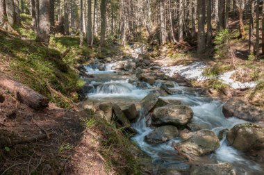 Dağ dere akar taş uzun pozlama üzerinde aşağı