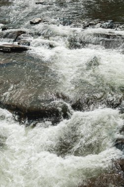 Dağ dere akar taş uzun pozlama üzerinde aşağı