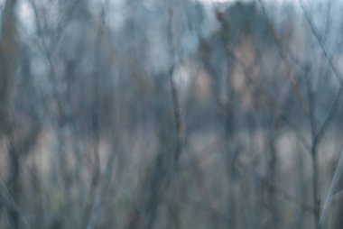 Bokeh odaklanmış ışık ve gölge ile soyut arkaplan