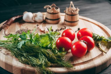 Baharatlar: kırmızı biber, kara biber, sarımsak, kimyon, kişniş, tatlı biber yalan bir kahverengi ahşap tahta siyah bir tablo üzerinde yuvarlak. Metnin altında yer