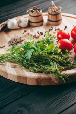 Baharatlar: kırmızı biber, kara biber, sarımsak, kimyon, kişniş, tatlı biber yalan bir kahverengi ahşap tahta siyah bir tablo üzerinde yuvarlak. Metnin altında yer