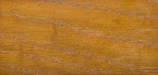 木质部用于设计和装饰的木材纹理 — 图库照片