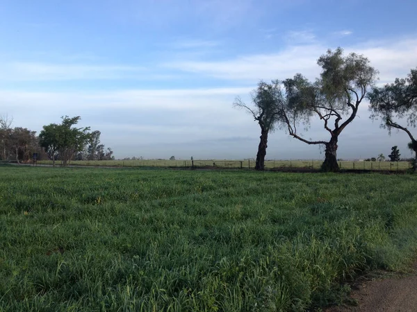 Fruchtbares grünes, reiches Ackerland Feld durch Bergebene Ernte Morgentau Sonnenaufgang — Stockfoto