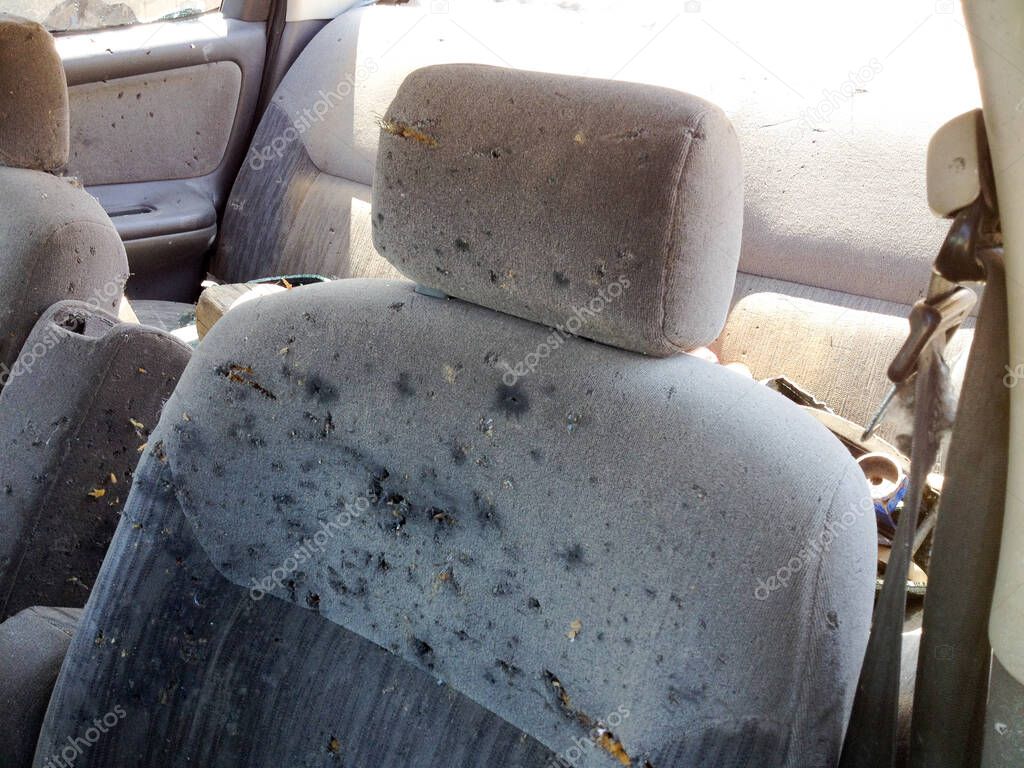 Automobile car seat shot up bullet gun fire holes