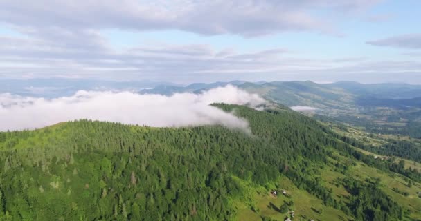 Drone Widok Karpat Piękna Przyroda Ukrainy Pochmurny Krajobraz Powietrzny Zachód — Wideo stockowe