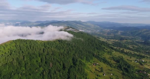 Drone Uitzicht Karpaten Prachtige Natuur Van Oekraïne Bewolkt Lucht Landschap — Stockvideo