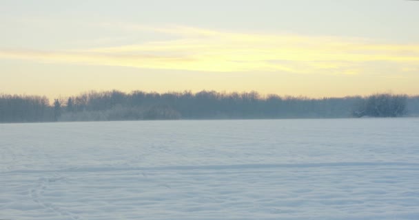 雪原冬のウクライナ オレンジとピンクの空カメラを持った男 — ストック動画