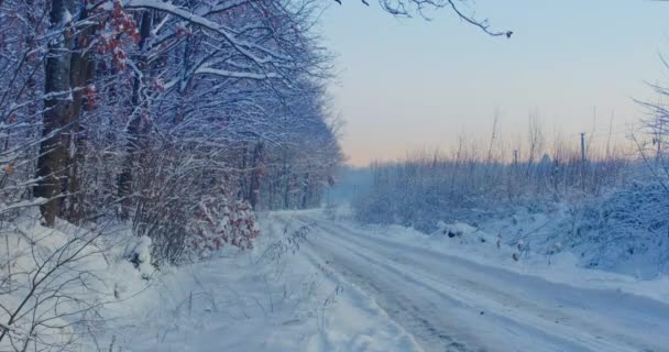 雪原乌克兰在冬季 橙色和粉红色的天空 带相机的人 — 图库视频影像