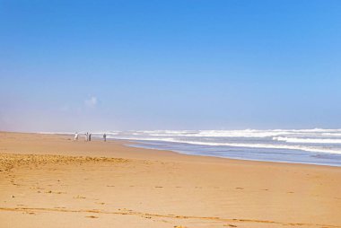 okyanus tarafından güneşli sahil fotoğrafı