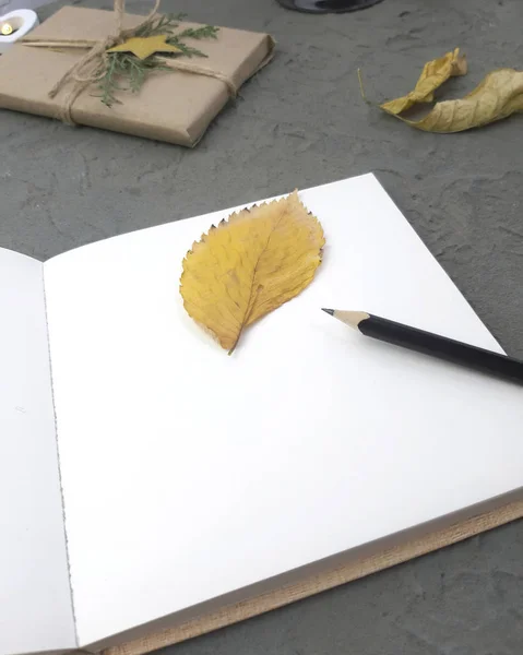Άδειο Σημειωματάριο Χαρτί Δώρο Και Πεσμένα Φύλλα Γκρι Υφή Φόντο — Φωτογραφία Αρχείου
