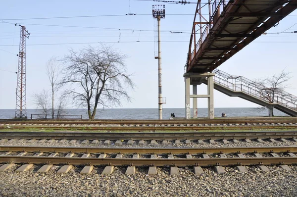 Denizin arka planında tren rayları, ağaç ve köprü