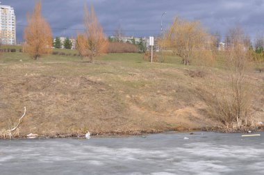 Bahar geldi. Nehirdeki buz