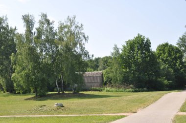 Güneşli bir günde parkta bir ev