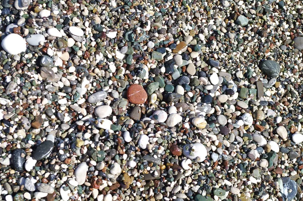 Abstrakt bakgrunn med småstein - rund havstein – stockfoto