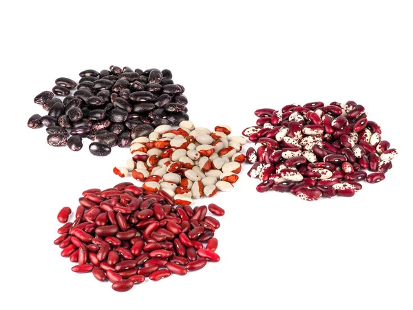 흰 배경에 다양 한 콩 이 나와 있다 — 스톡 사진