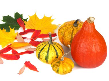 Dört balkabağı ve sonbahar yaprakları