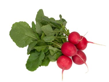 Beyaz arkaplanda taze kırmızı turp izole edildi