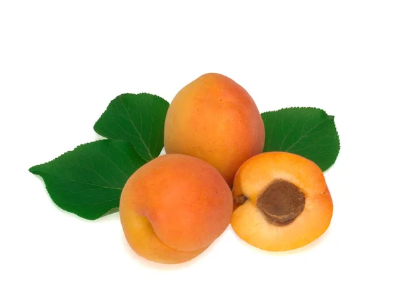 Fresh apricot fruits and leaves isolated on white background — Stock Photo, Image