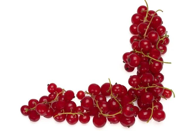 Ribes rosso su sfondo bianco — Foto Stock