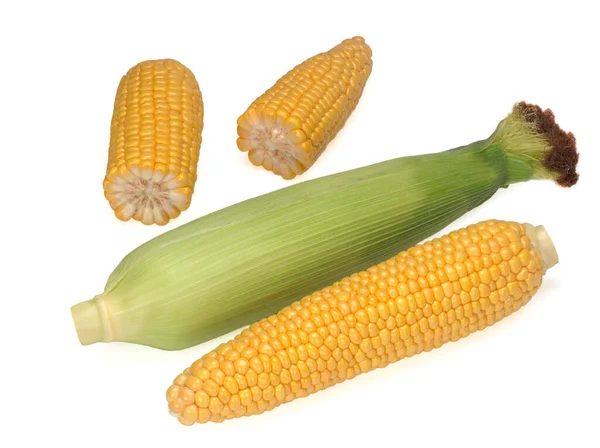 Two ears of corn and two its pieces isolated on white background — Stock Photo, Image