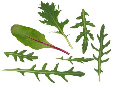 Taze marul karışımı, beyaz arka planda izole edilmiş üst görünüm.