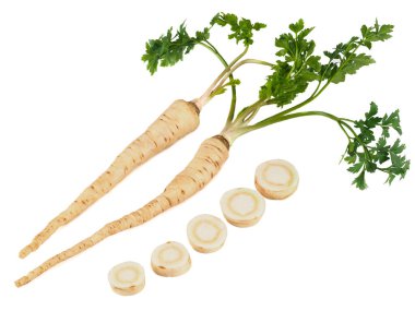 Çiğ maydanoz kökü beyaza izole edilmiş.