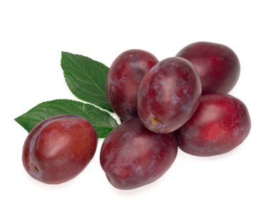 Beyaz arka planda erik yapraklı altı erik..