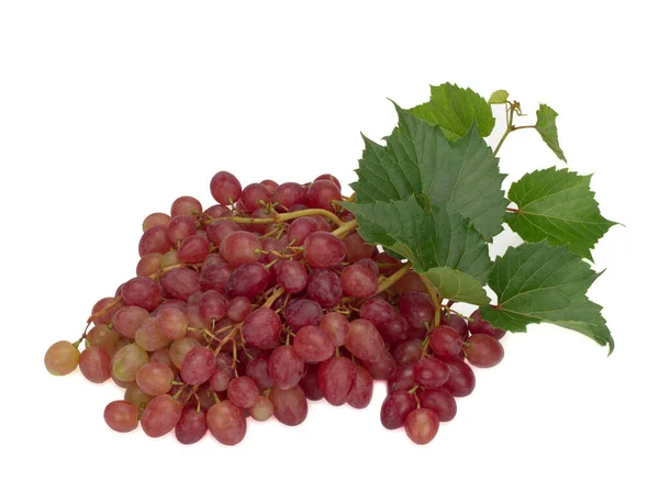 Uvas rojas maduras con hojas aisladas —  Fotos de Stock