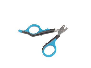 Pençeler için makas aç. Beyaz arka planda evcil köpekler veya kediler için.