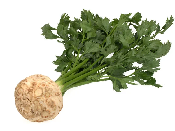 Fresh celery root with leaf isolated on white background — Stock Photo, Image