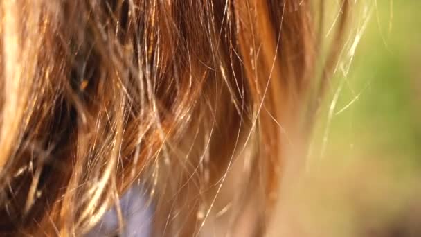Un piano di primo piano di un dorato capelli naturali wispy che ondeggiano nel vento — Video Stock