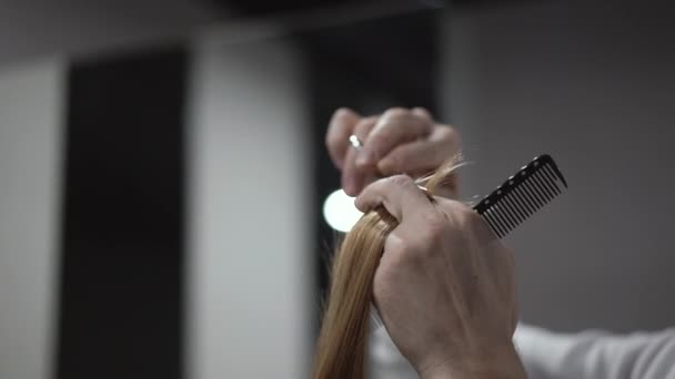 Un parrucchiere maschio tiene in mano tra le dita una ciocca di capelli biondi e la taglia — Video Stock