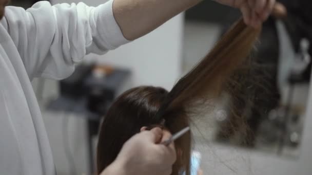 Un peluquero masculino divide el cabello castaño desbordante y peina un mechón de él — Vídeos de Stock