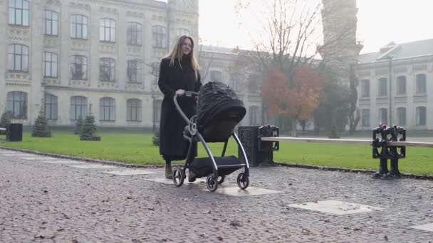 Gesamtplan einer Mutter mit schwarzem Kinderwagen, die an einem nebligen Herbsttag durch den Park läuft — Stockvideo