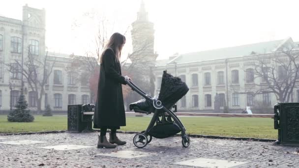 Een dame met een lange zwarte vacht wandelingen met een kinderwagen buiten in mistig weer — Stockvideo