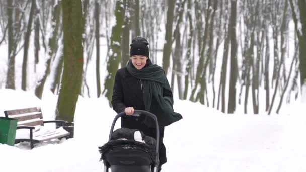 Eine Frau mit schwarzem Kinderwagen geht an einem Winternachmittag in einem Park spazieren — Stockvideo