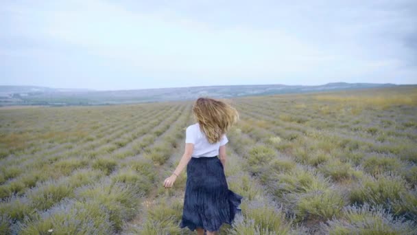 Chica corre a través del campo con lavanda Movimiento lento — Vídeo de stock