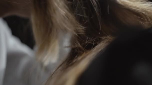 Een mannelijke kapper verdeelt licht-bruin haar en een lok van het kammen — Stockvideo