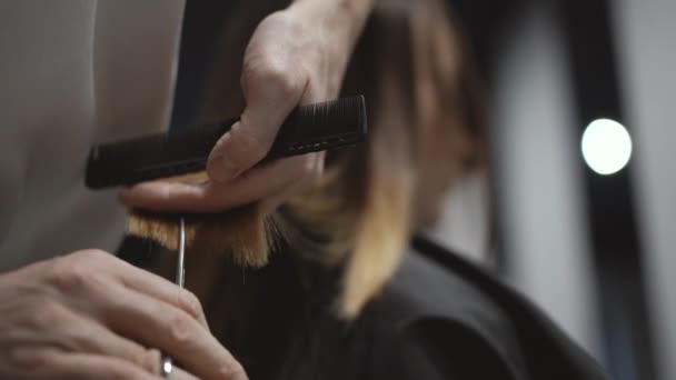 Un coiffeur tient à la main entre les doigts une mèche de cheveux bruns et la coupe — Video