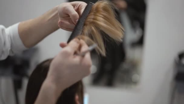 Um cabeleireiro macho penteia uma fechadura de um cabelo castanho claro e moinhos as extremidades dele — Vídeo de Stock