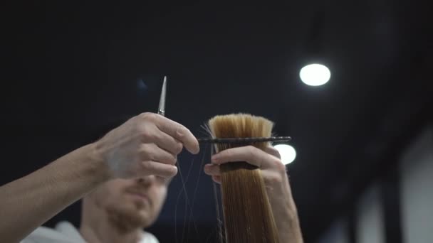 En frisör kammar en lock av ett brunt hår och mal i ändarna av det — Stockvideo