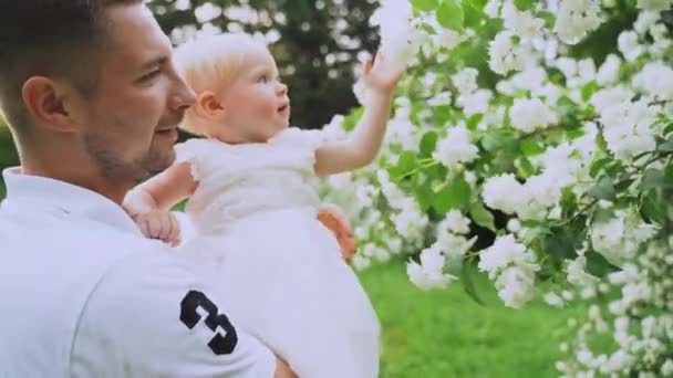 Den unge pappan innehar den lilla flickan på händerna i parken. Ett barn plockar blommorna på trädet i slowmo — Stockvideo