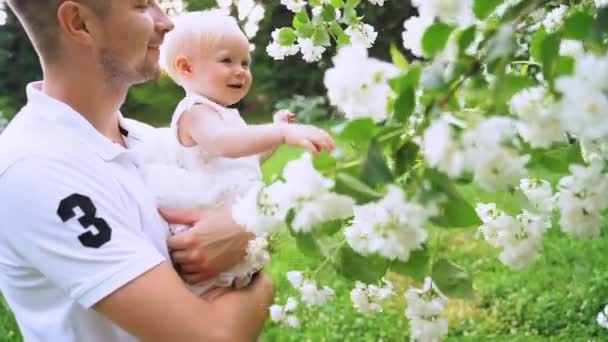 Joven padre adulto sosteniendo a su hijita en las manos. Un bebé juega con la rama del árbol con las flores blancas. Moción lenta — Vídeo de stock