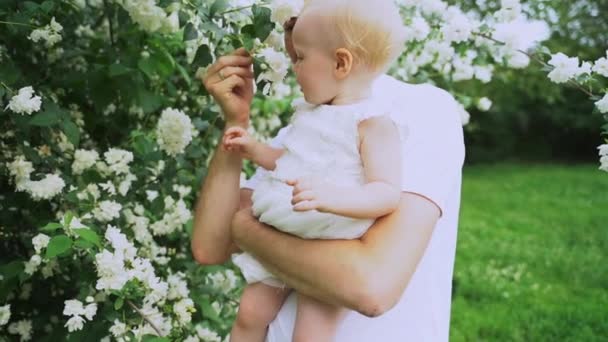 Een vader houdt de baby op de handen in het Park. Slow Motion — Stockvideo
