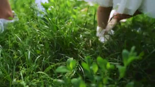 Немовлята ходять по зеленій траві в повільному русі . — стокове відео