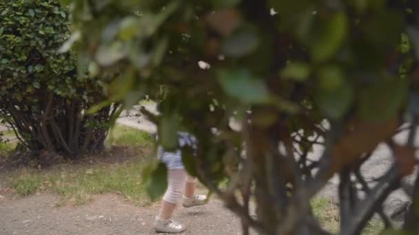 Kleine peuter uitgaven haar zomerdag buiten — Stockvideo