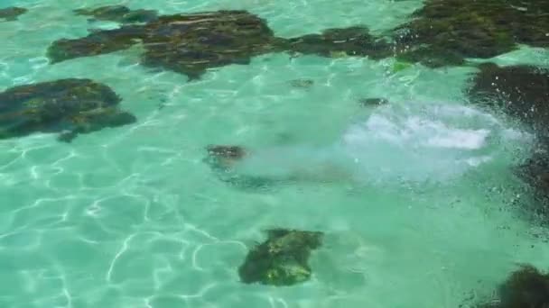 Jovem mulher adulta em maiô pulando em água cristalina — Vídeo de Stock